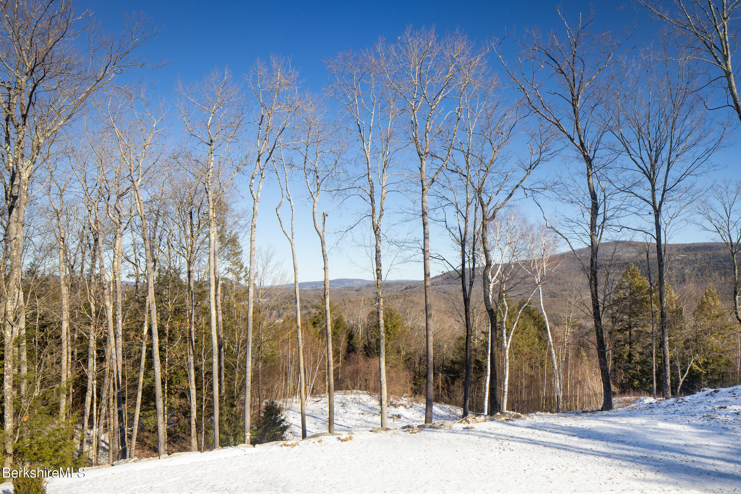 324 Long Pond Road Great Barrington, MA 01230 - Photo 35 of 40 Winter Views