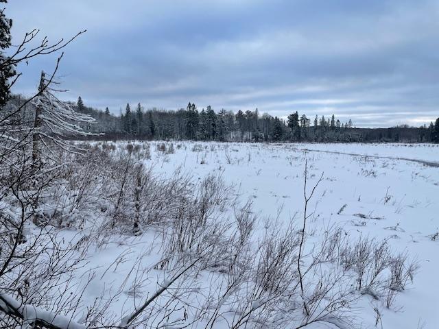 Off Fire Tower Road, Unit 40 AC Watersmeet, MI 49969 - Photo 5 of 37 Gallery Image 5