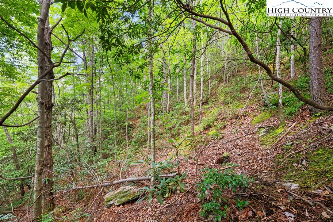 Lot 330 Pepperroot Road Boone, NC 28607 - Photo 13 of 16 a view of a garden