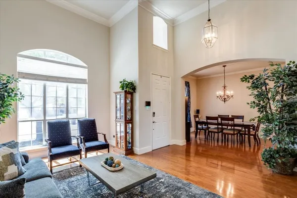 a living room with furniture a dining table with rug floor and potted plants