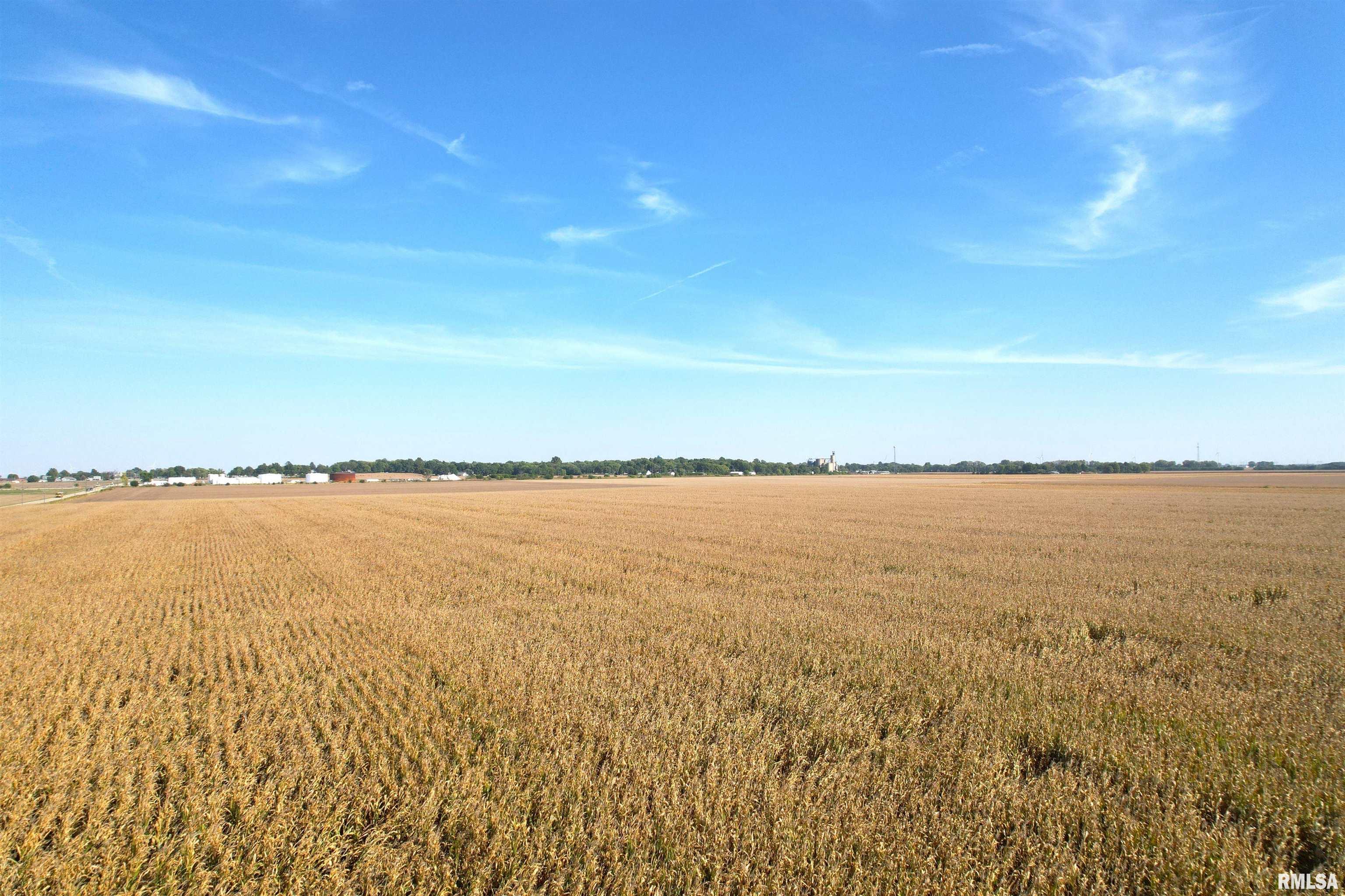 700th St Mount Mount Pulaski, IL 62548 - Photo 4 of 12