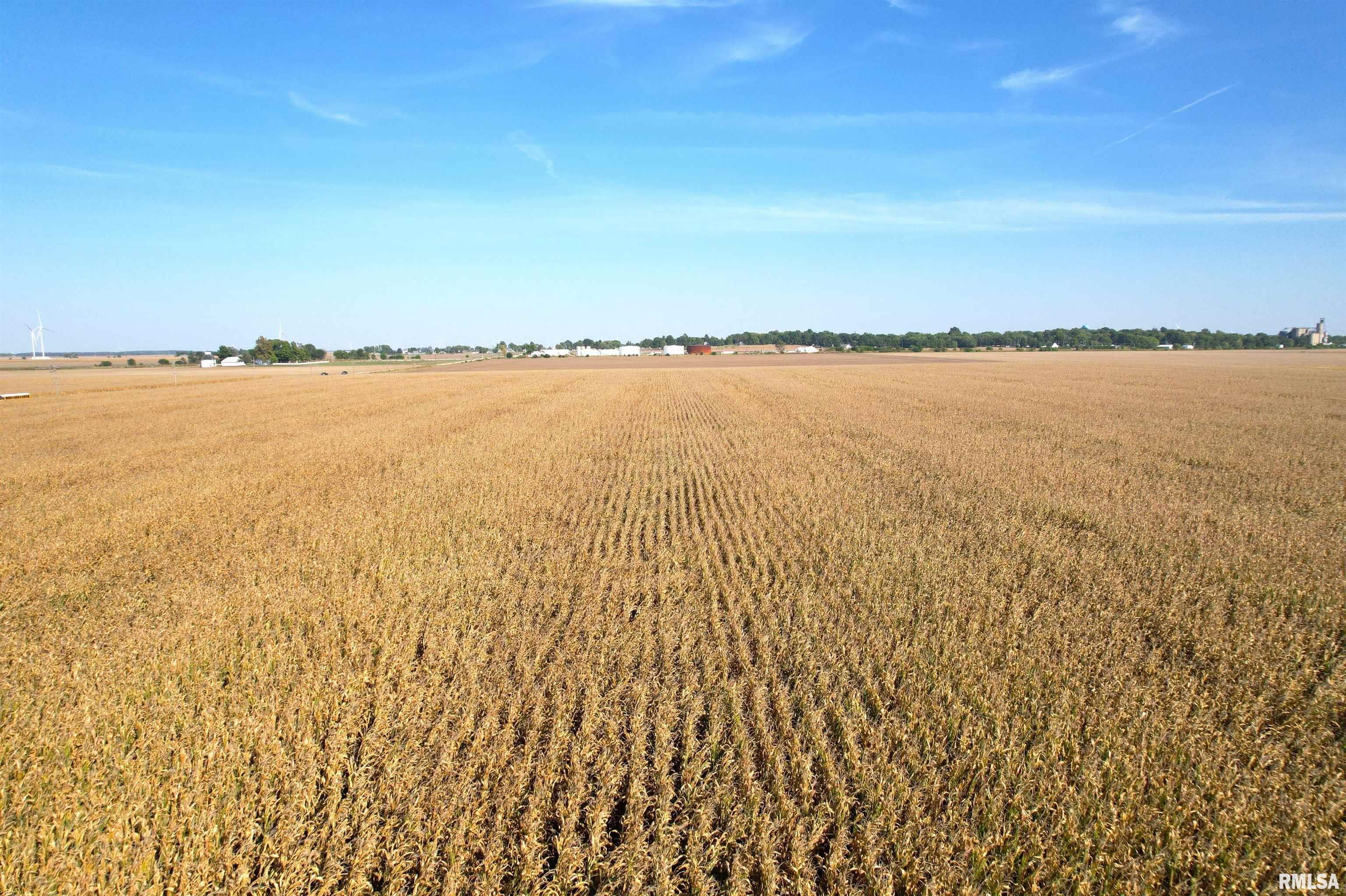 700th St Mount Mount Pulaski, IL 62548 - Photo 5 of 12
