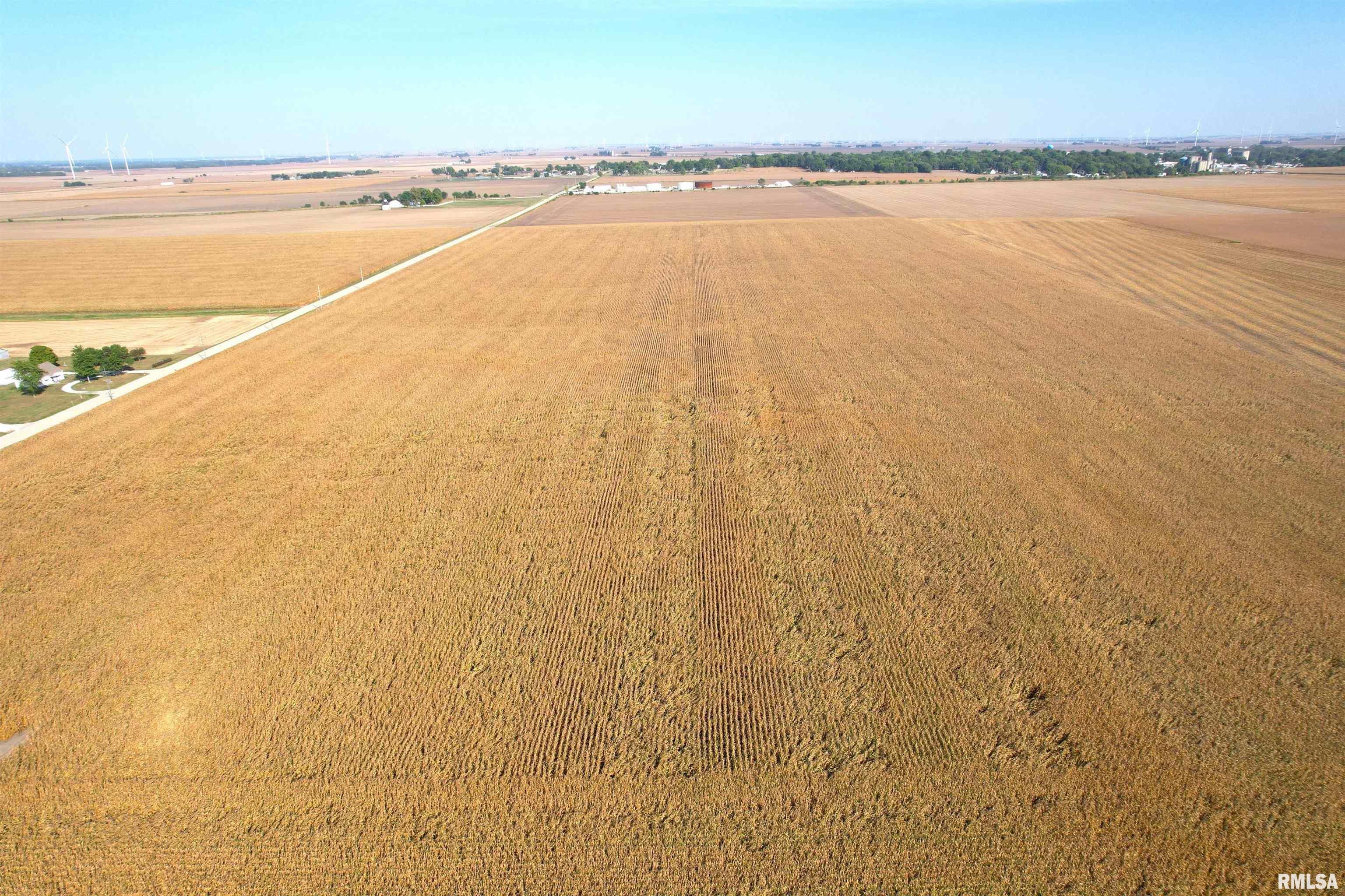 700th St Mount Mount Pulaski, IL 62548 - Photo 6 of 12