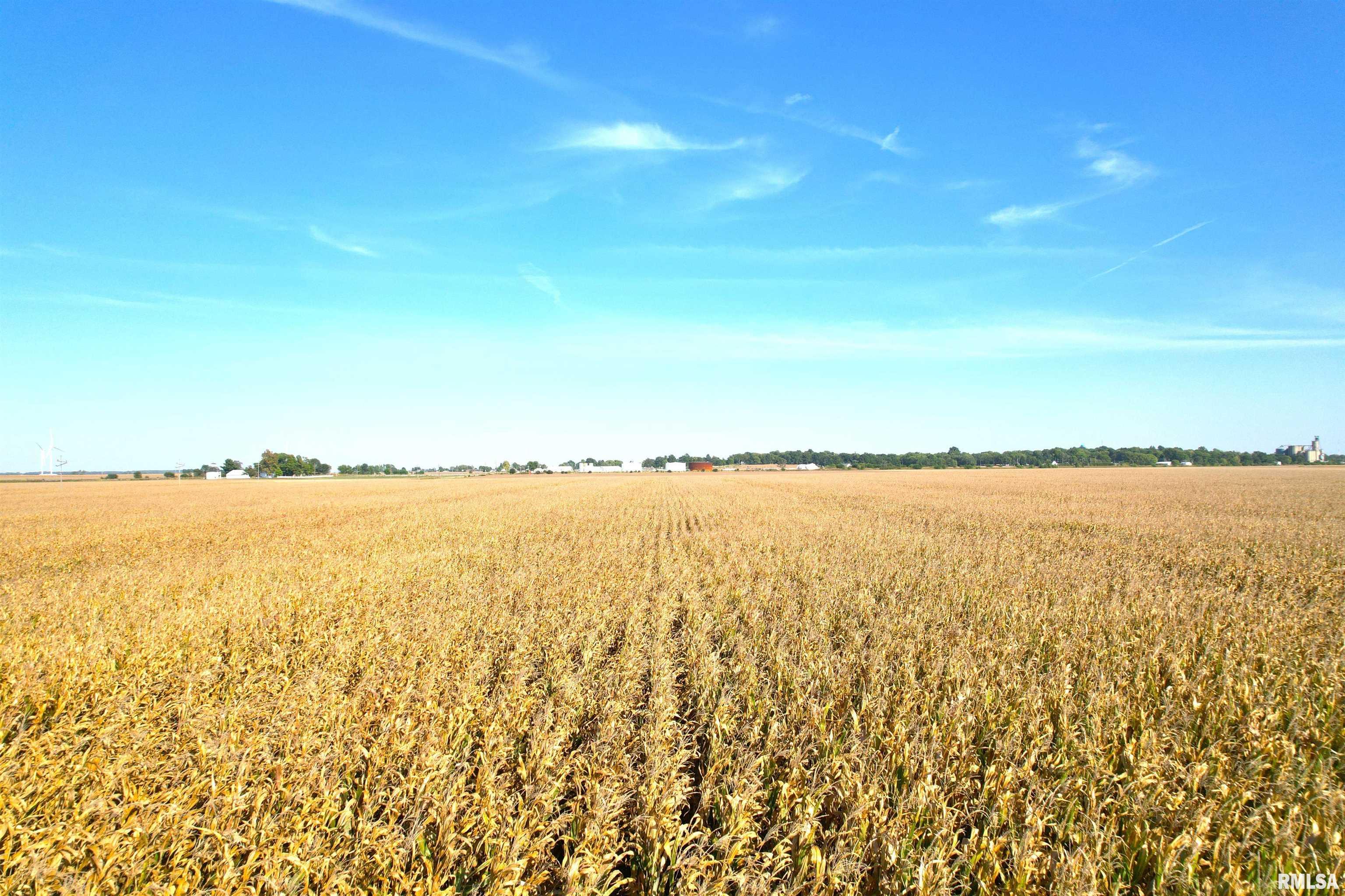 700th St Mount Mount Pulaski, IL 62548 - Photo 9 of 12