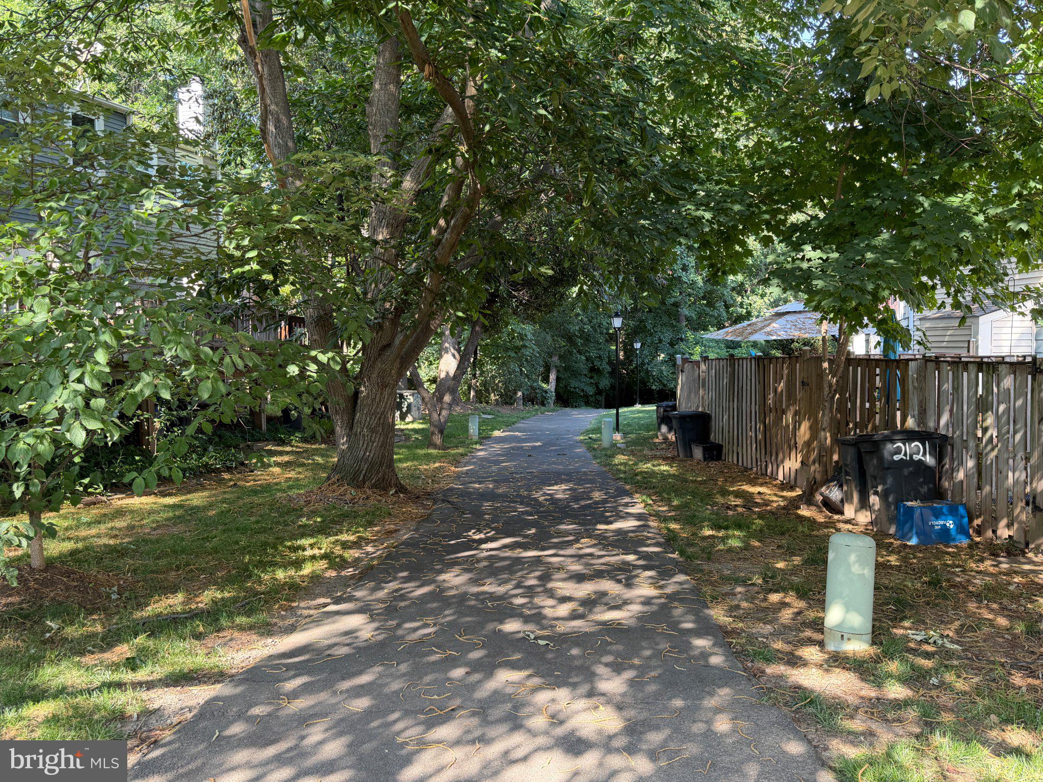 2121 Whisper Way Reston, VA 20191 - Photo 47 of 61 Shaded path through a tranquil neighborhood.