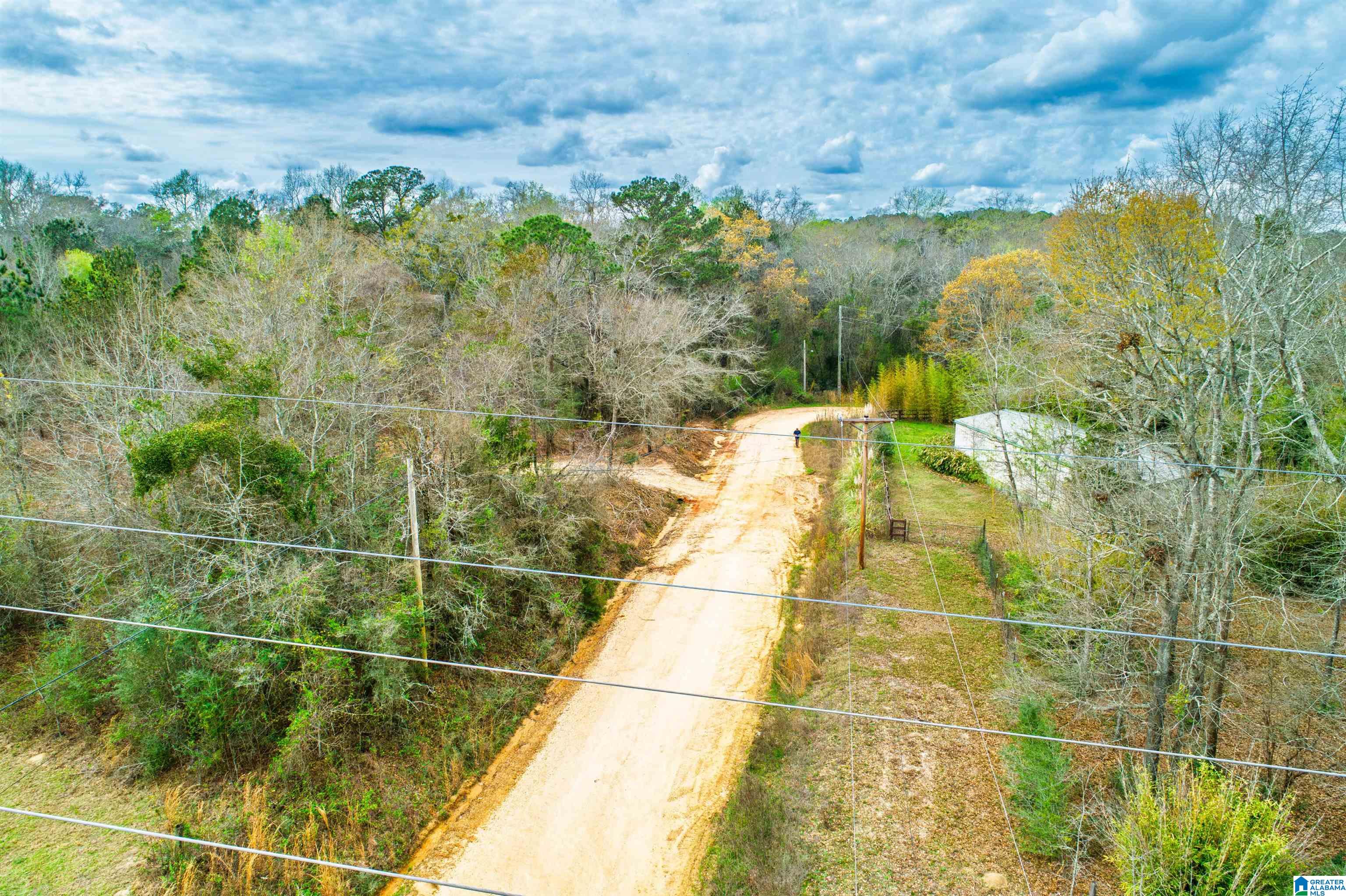 27180 Deer Run Road Opp, AL 36467 - Photo 36 of 60