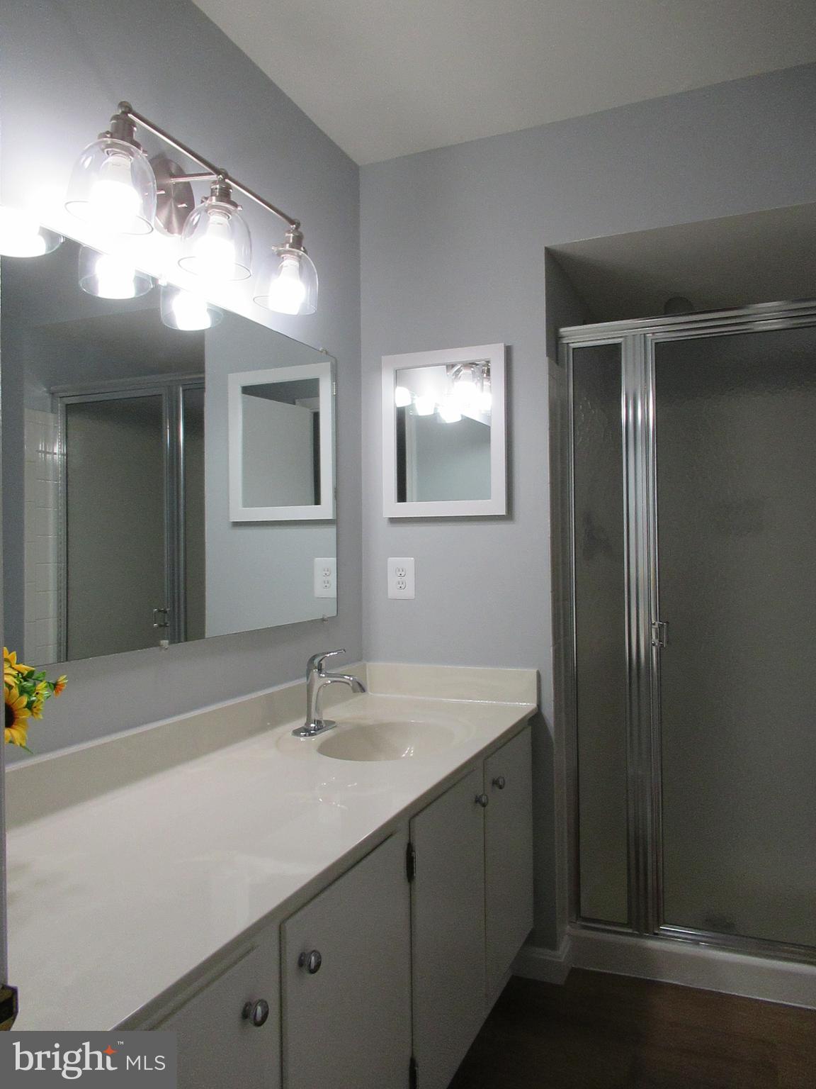 2310 Patternbond Drive Silver Spring, MD 20902 - Photo 12 of 29 a bathroom with a sink a mirror and a vanity