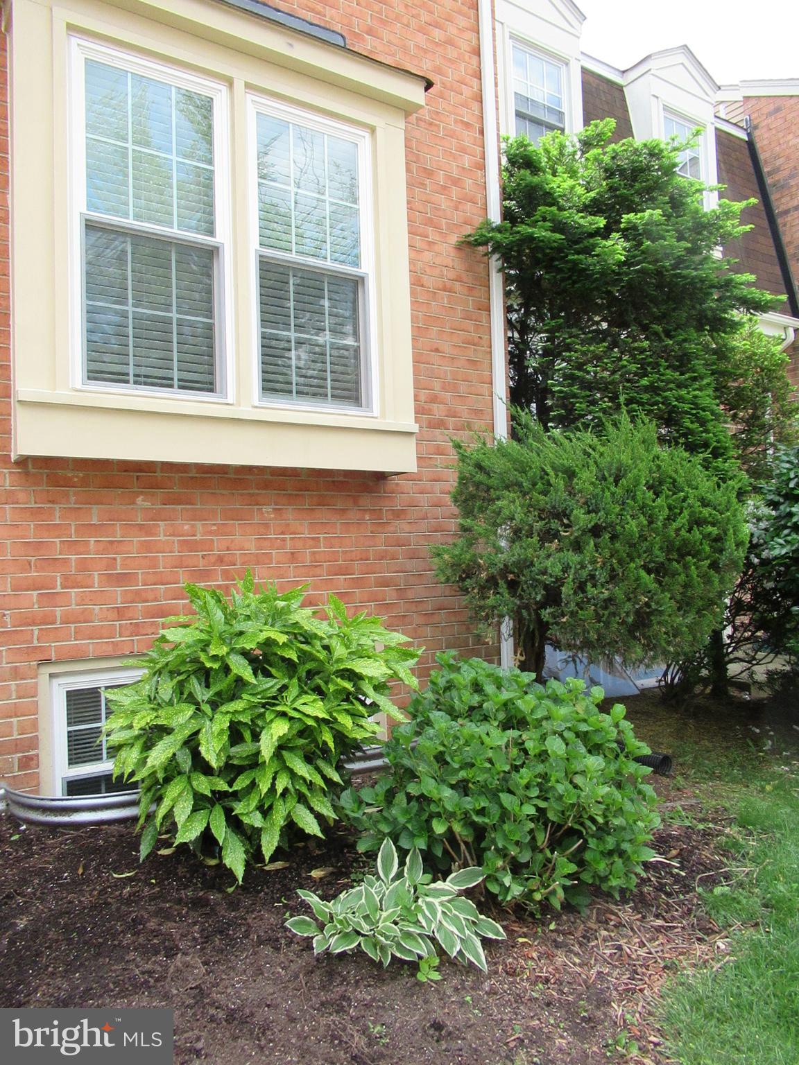 2310 Patternbond Drive Silver Spring, MD 20902 - Photo 29 of 29 a plant that is in front of a house