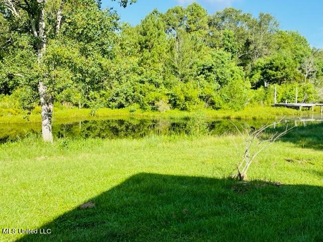 95 Liberty Road Picayune, MS 39466 - Photo 14 of 14 IMG_7909 - Copy