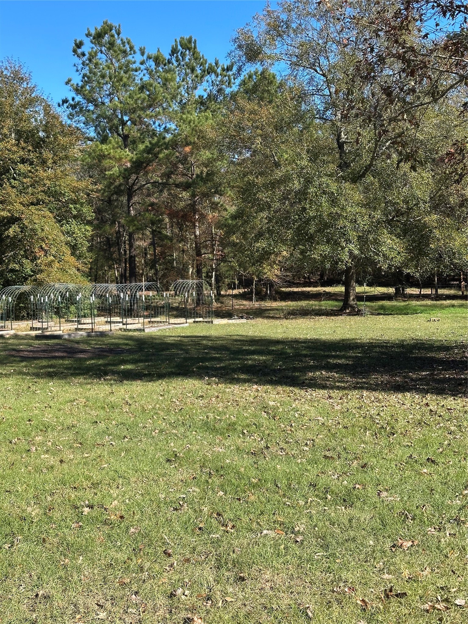 1001 Oak Ridge Road Willis, TX 77378 - Photo 11 of 14 a view of a lake