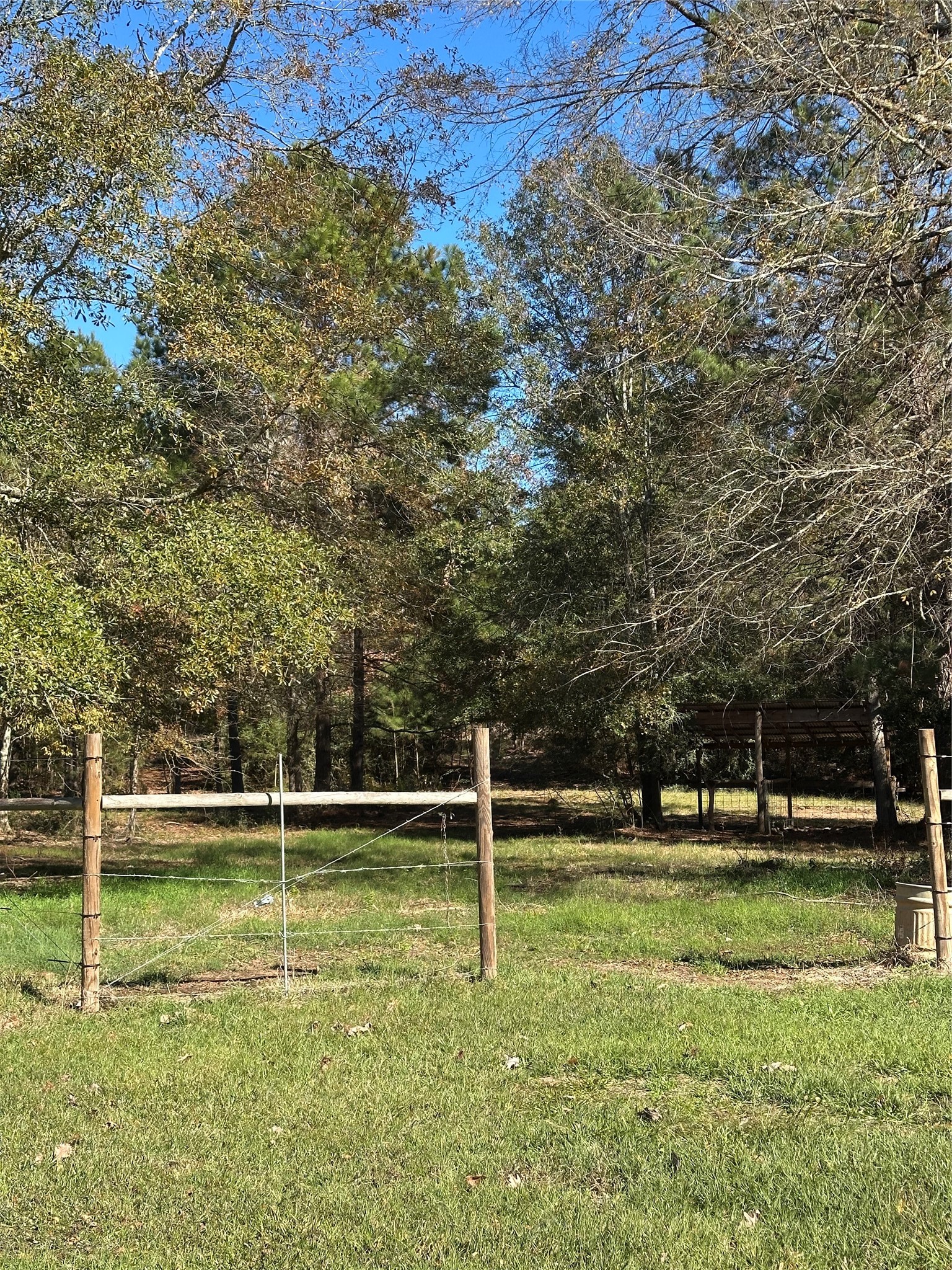 1001 Oak Ridge Road Willis, TX 77378 - Photo 12 of 14 a view of a field with trees in the background