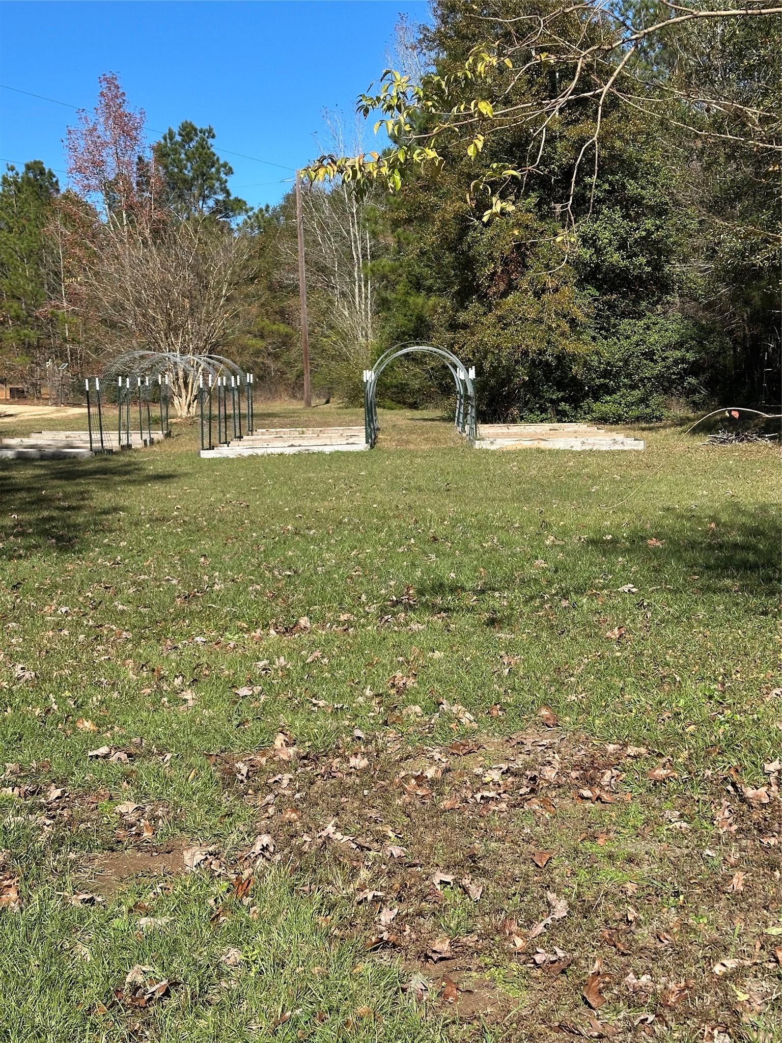 1001 Oak Ridge Road Willis, TX 77378 - Photo 13 of 14 a view of outdoor space with garden and trees