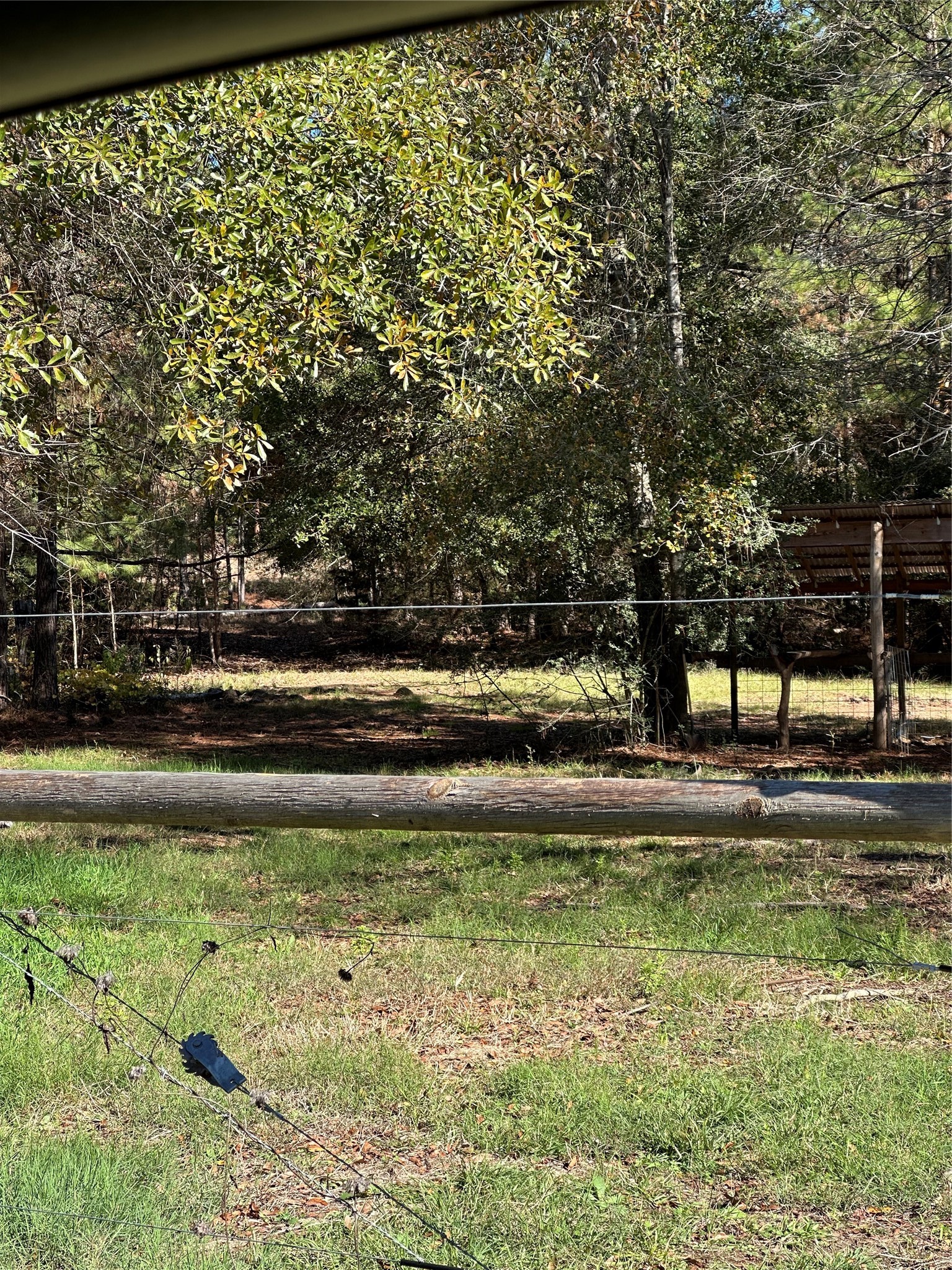 1001 Oak Ridge Road Willis, TX 77378 - Photo 9 of 14 a view of yard with green space