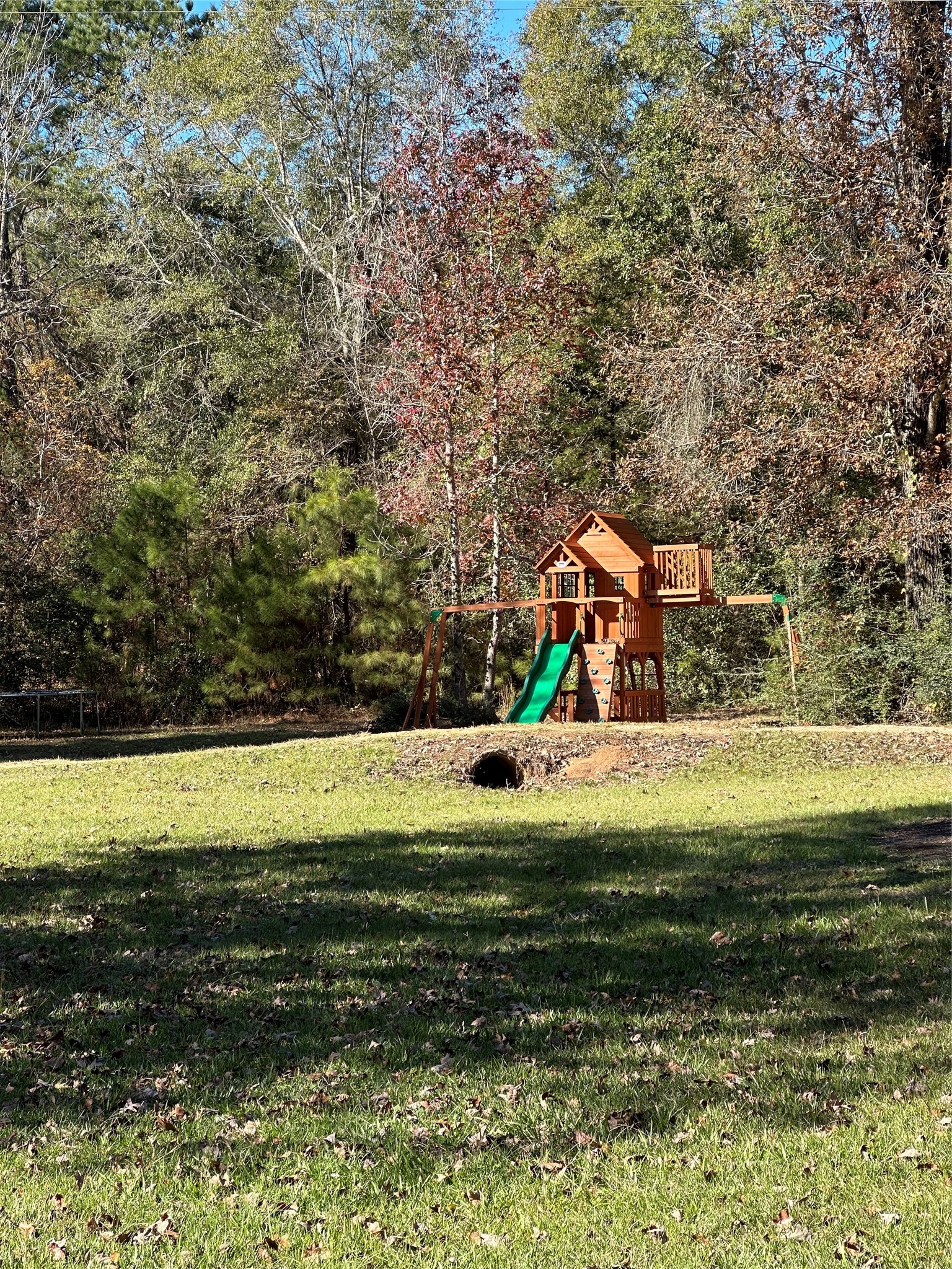 1001 Oak Ridge Road Willis, TX 77378 - Photo 10 of 14 a view of a swimming pool with an outdoor space