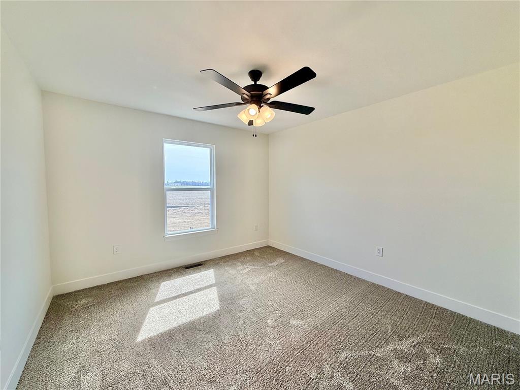 221 George Bush Boulevard Troy, IL 62294 - Photo 46 of 92