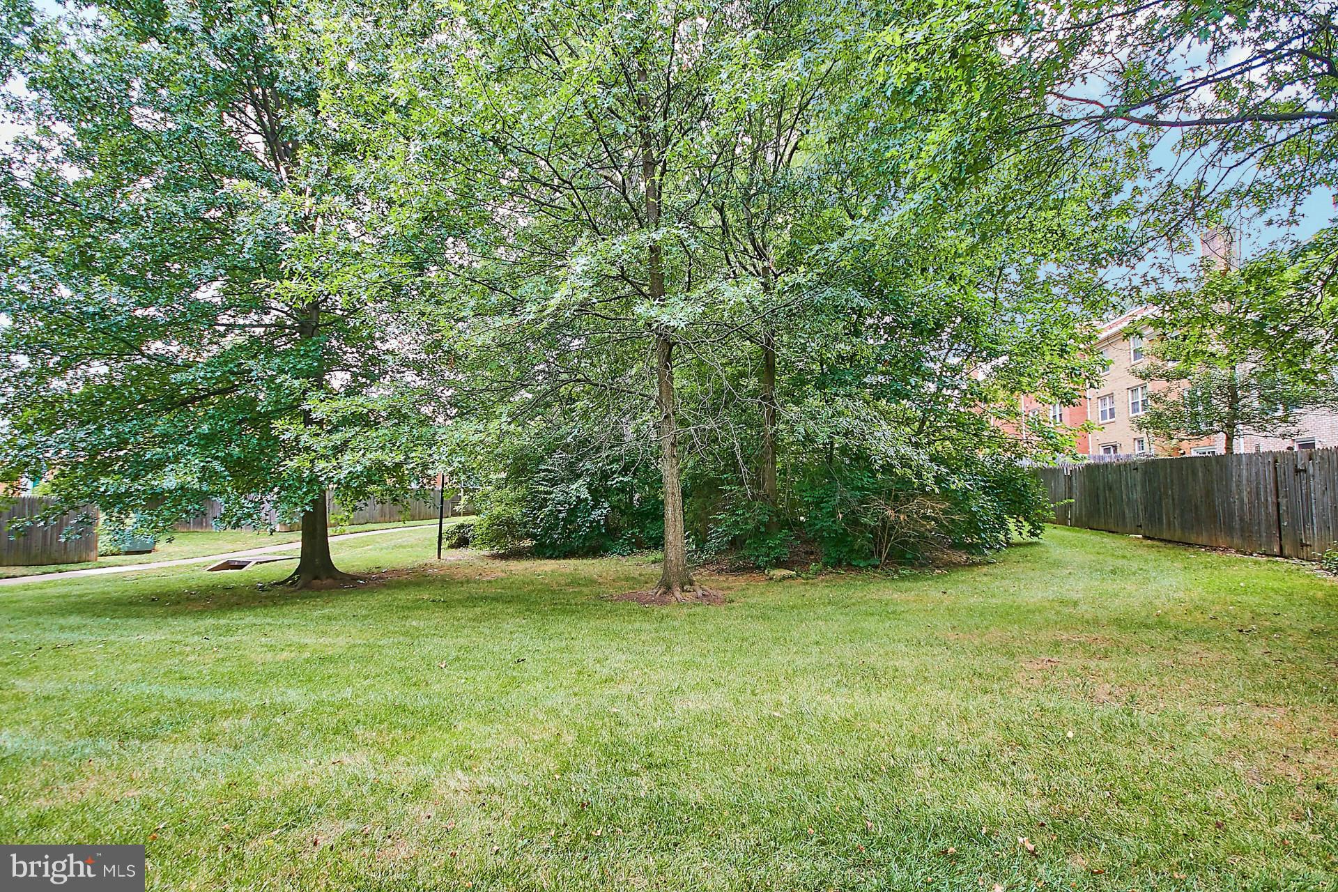 5264 Leestone Court Springfield, VA 22151 - Photo 28 of 30 a view of a field with a trees