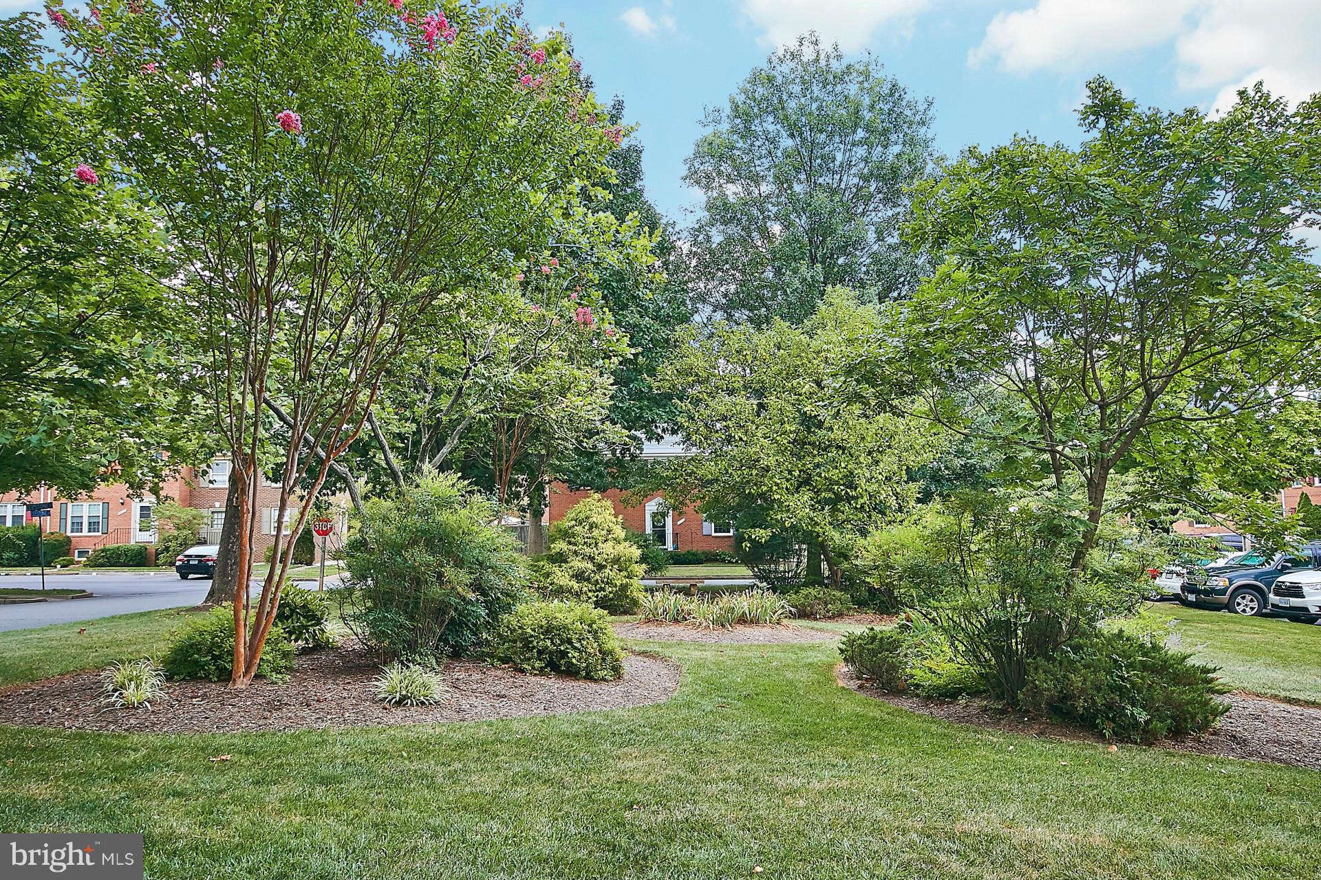 5264 Leestone Court Springfield, VA 22151 - Photo 29 of 30 a view of a yard with plants and trees