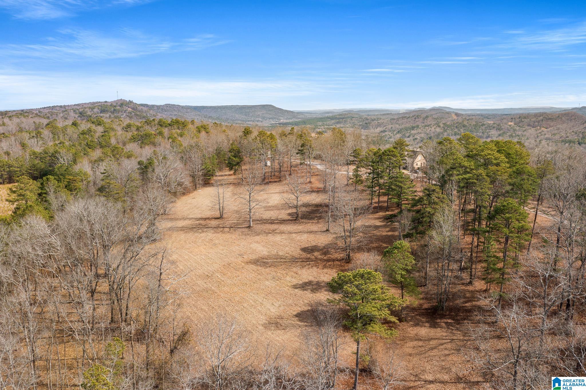 575 Mountain View Lane Springville, AL 35146 - Photo 68 of 84
