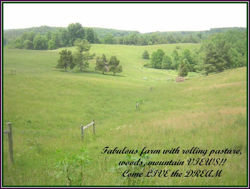 242 Sterling Bridge Road Northwest Willis, VA 24380 - Photo 4 of 32 a view of a field with an ocean view
