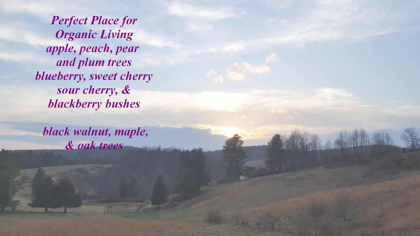 242 Sterling Bridge Road Northwest Willis, VA 24380 - Photo 5 of 32 a sign that is on the side of the road