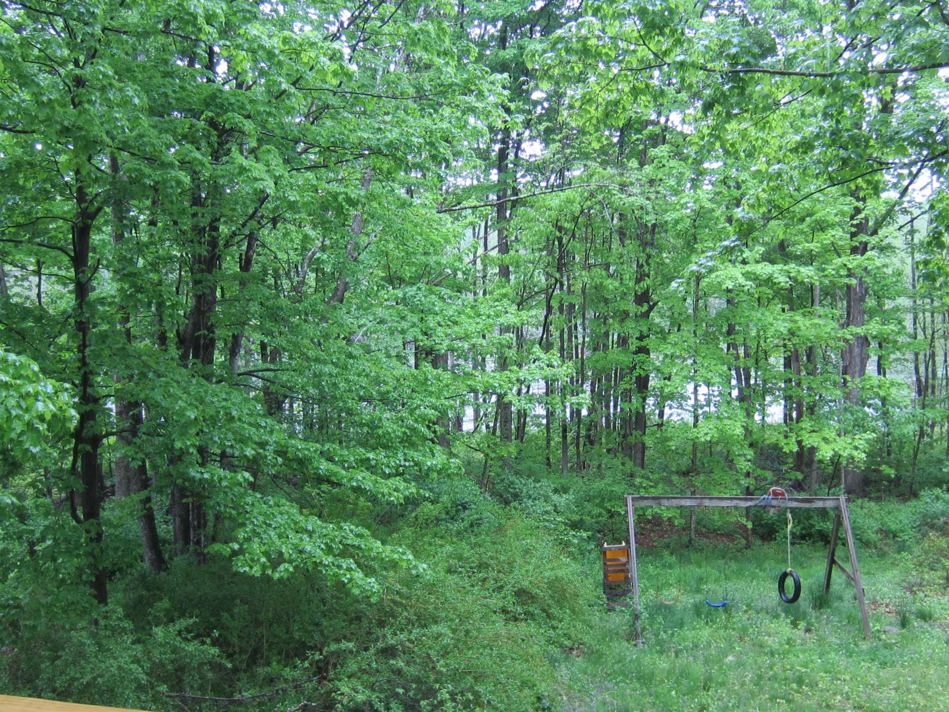 174 Pattee Hill Road, Unit 2 Goffstown, NH 03045 - Photo 10 of 12