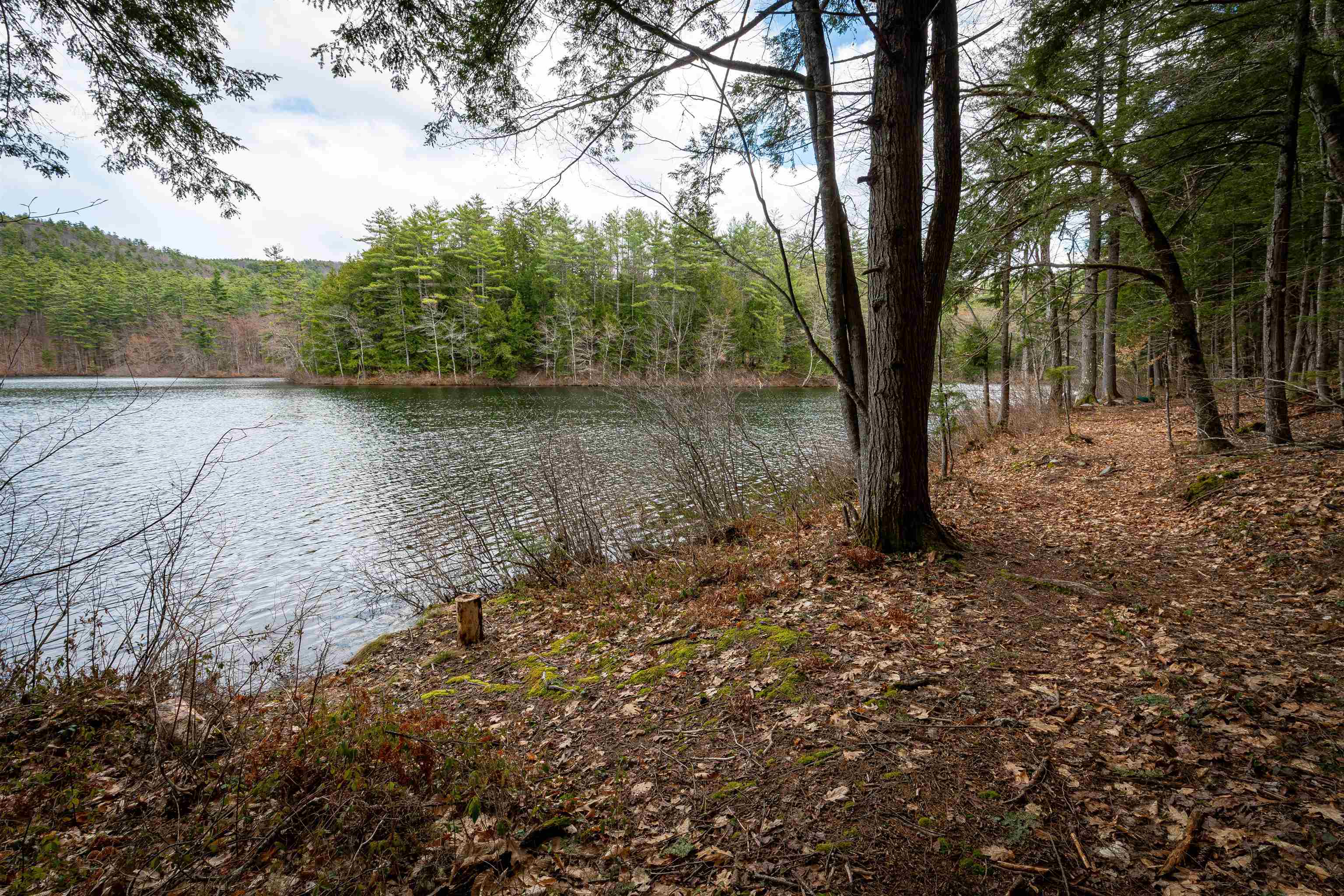 0 Rte 153/ Eaton Road Madison, NH 03849 - Photo 7 of 32 Gallery Image 7