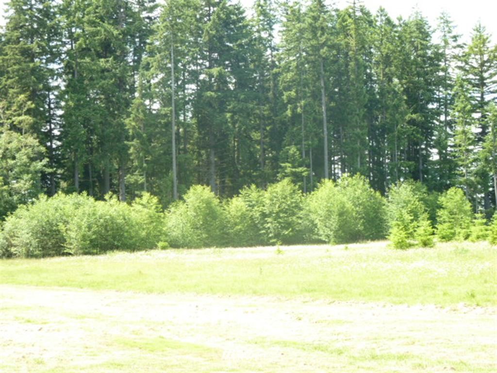 -xxx Yates Road Chehalis, WA 98532 - Photo 3 of 7