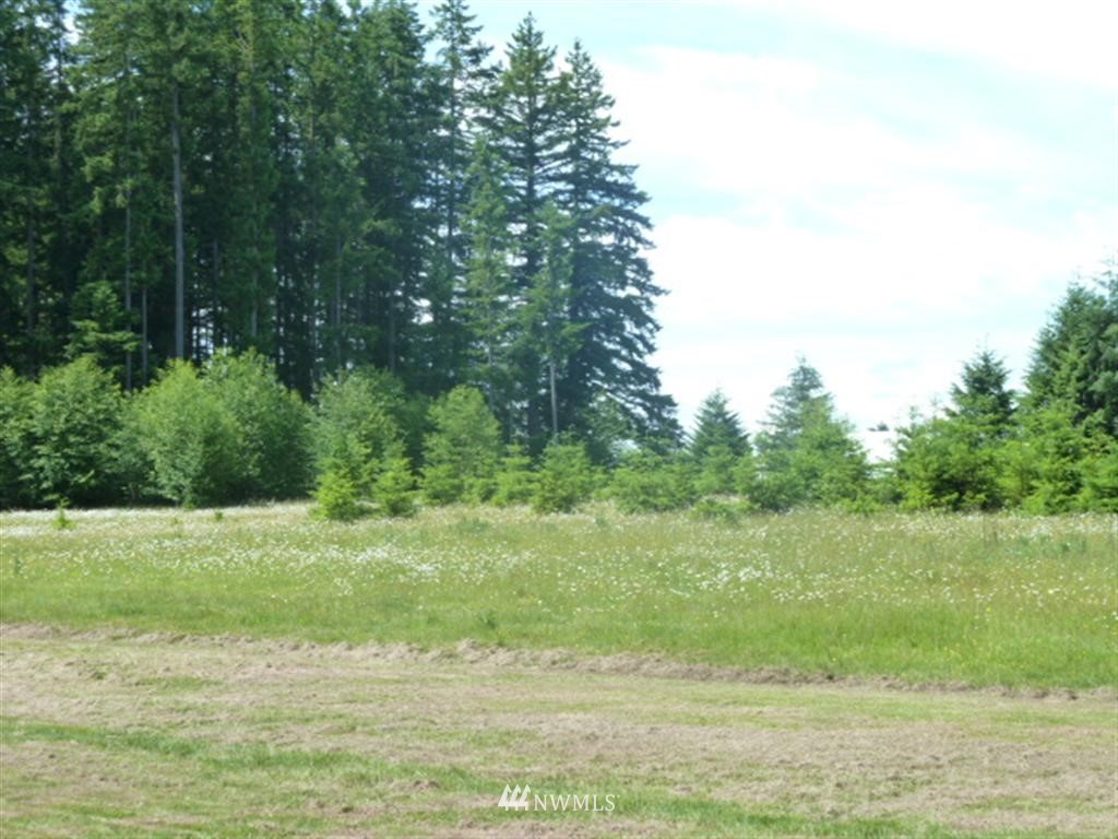 -xxx Yates Road Chehalis, WA 98532 - Photo 4 of 7
