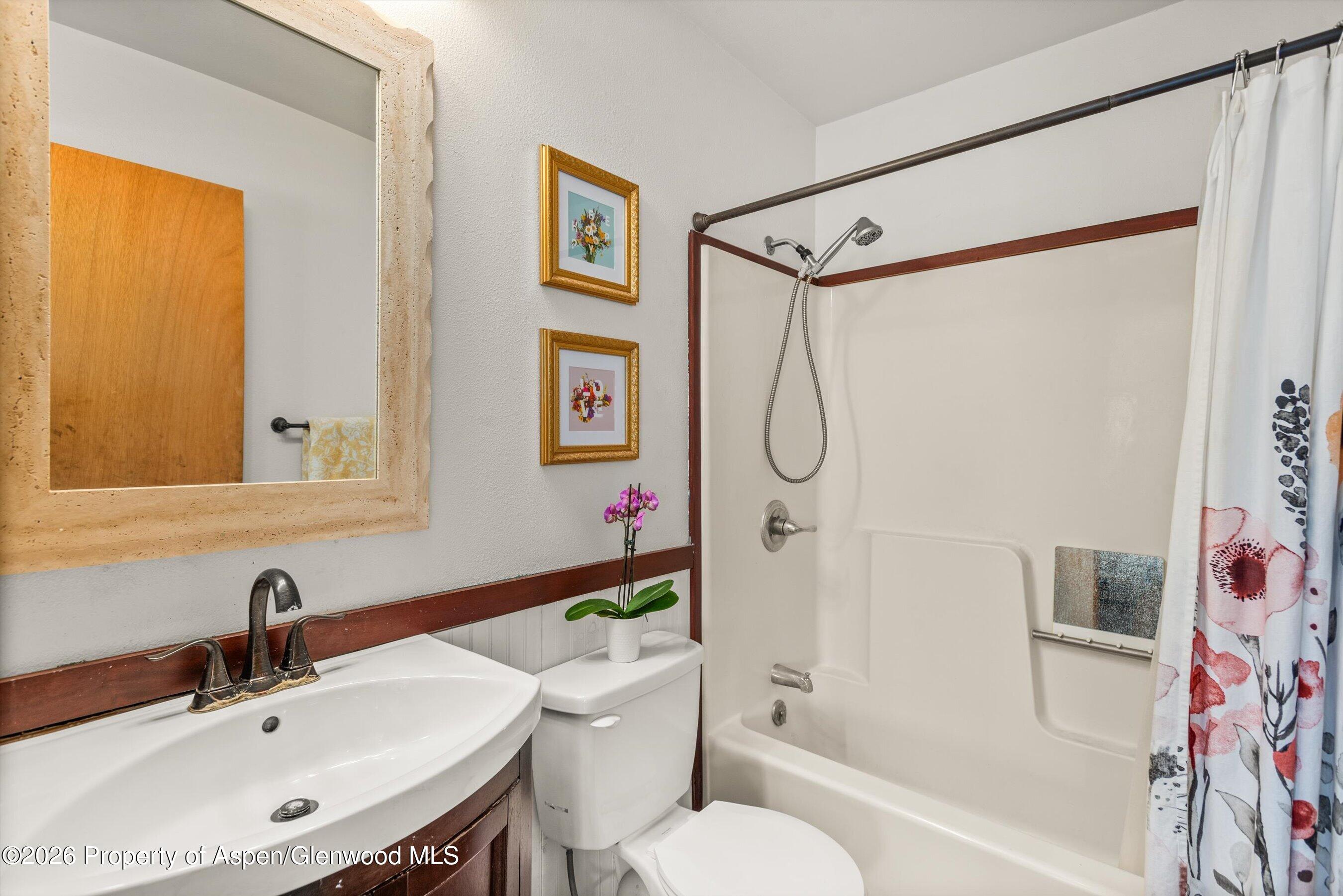 360 West Sopris Creek Road Basalt, CO 81621 - Photo 17 of 52 Main Level Full Bath