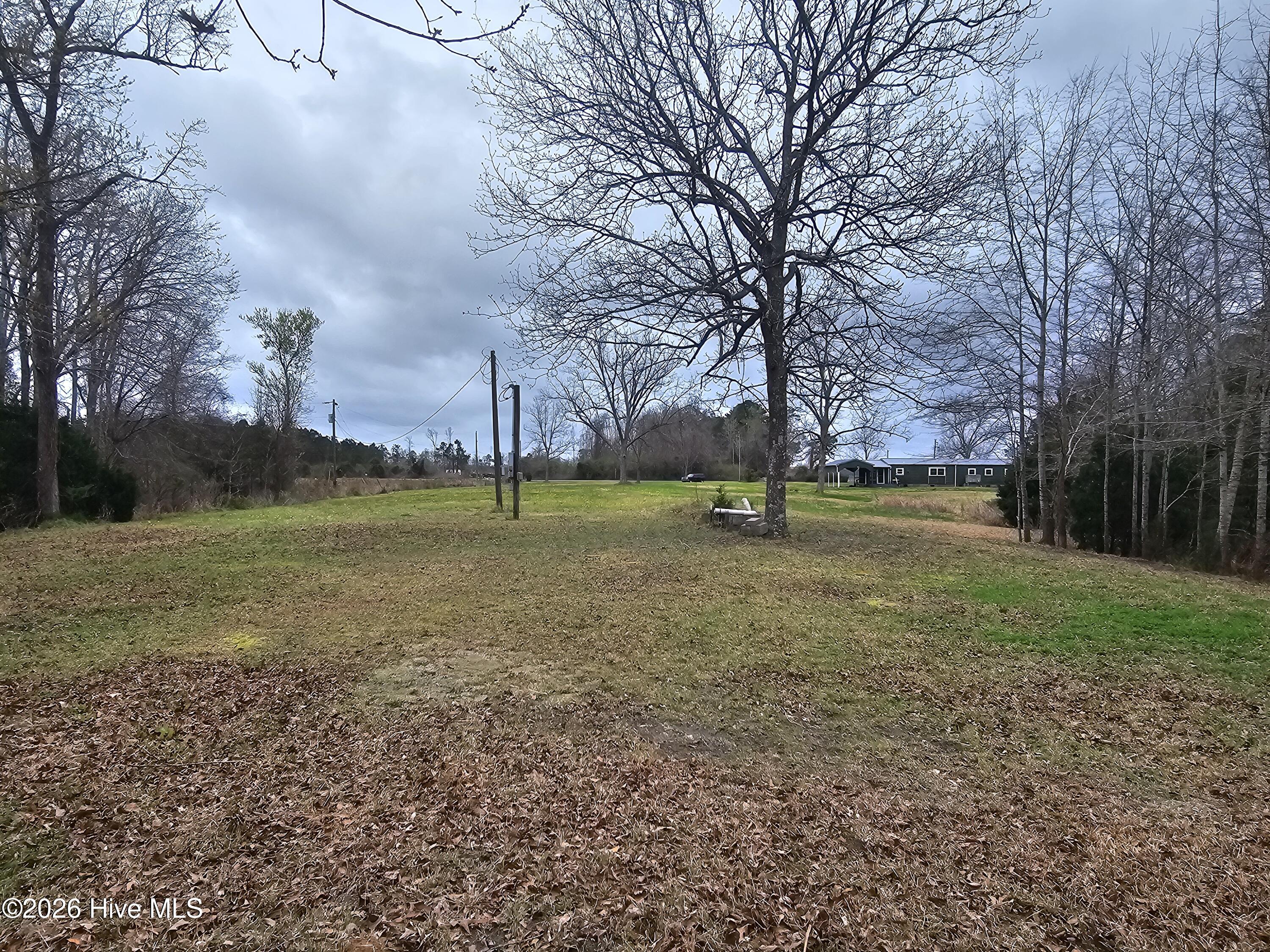 251 Alligator Loop Road Merritt, NC 28556 - Photo 4 of 8 View from the back of the property to the road.