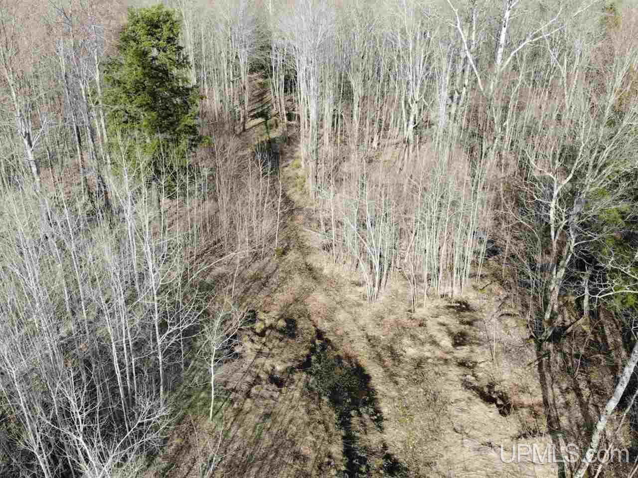 109 Orange Road, Unit 109 Michigamme, MI 49861 - Photo 6 of 13