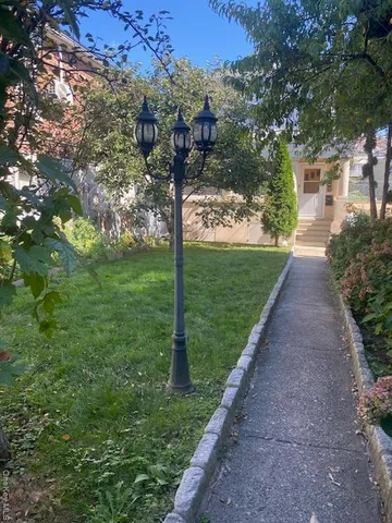 a view of a yard with plants and a large tree