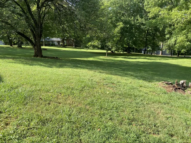 a view of a park with large trees