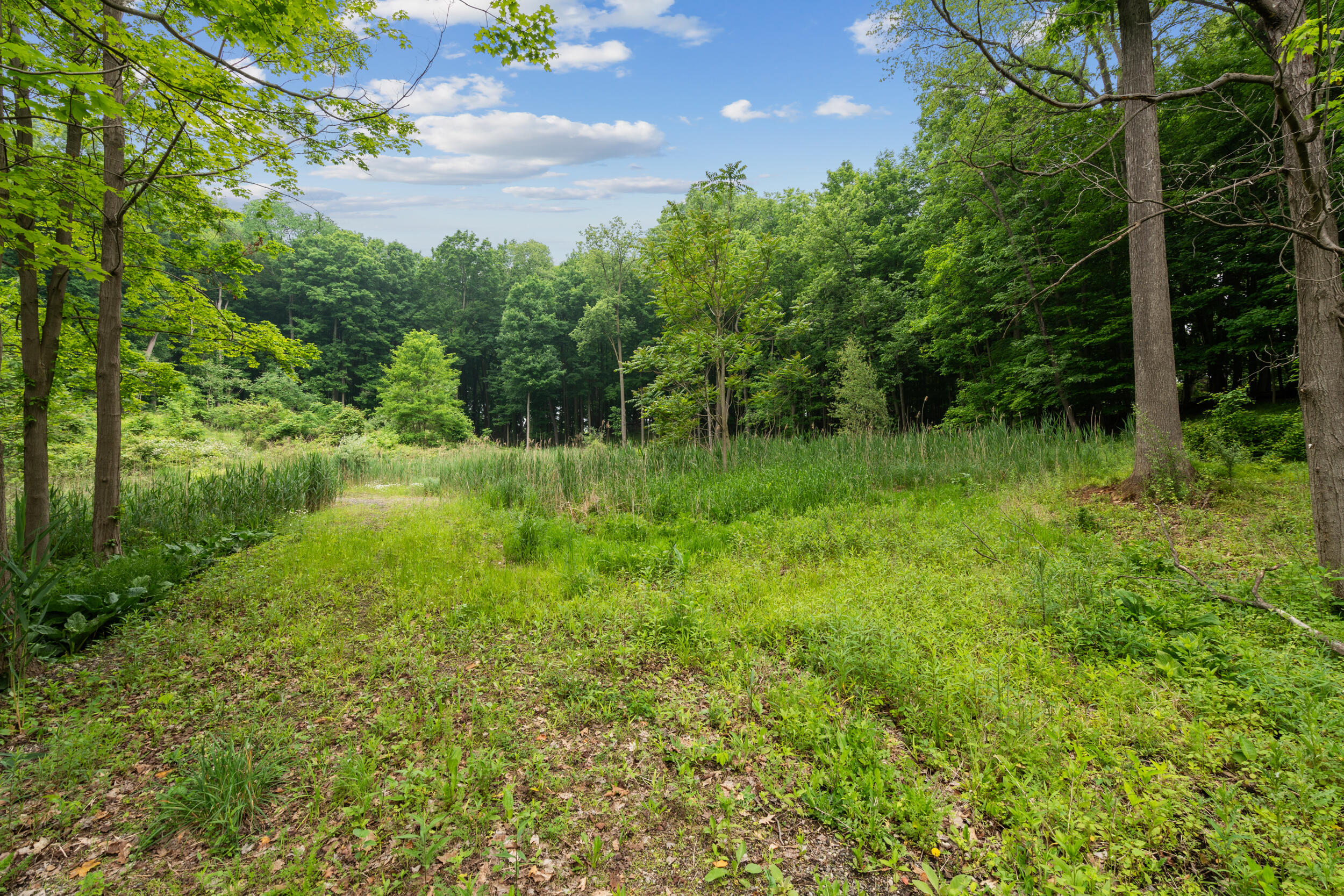 36300 Howard Road Farmington, MI 48331 - Photo 10 of 26 10_36300 howard rd_026