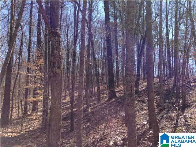0 Woolfolk Road, Unit 3 ACRES Munford, AL 36268 - Photo 2 of 24