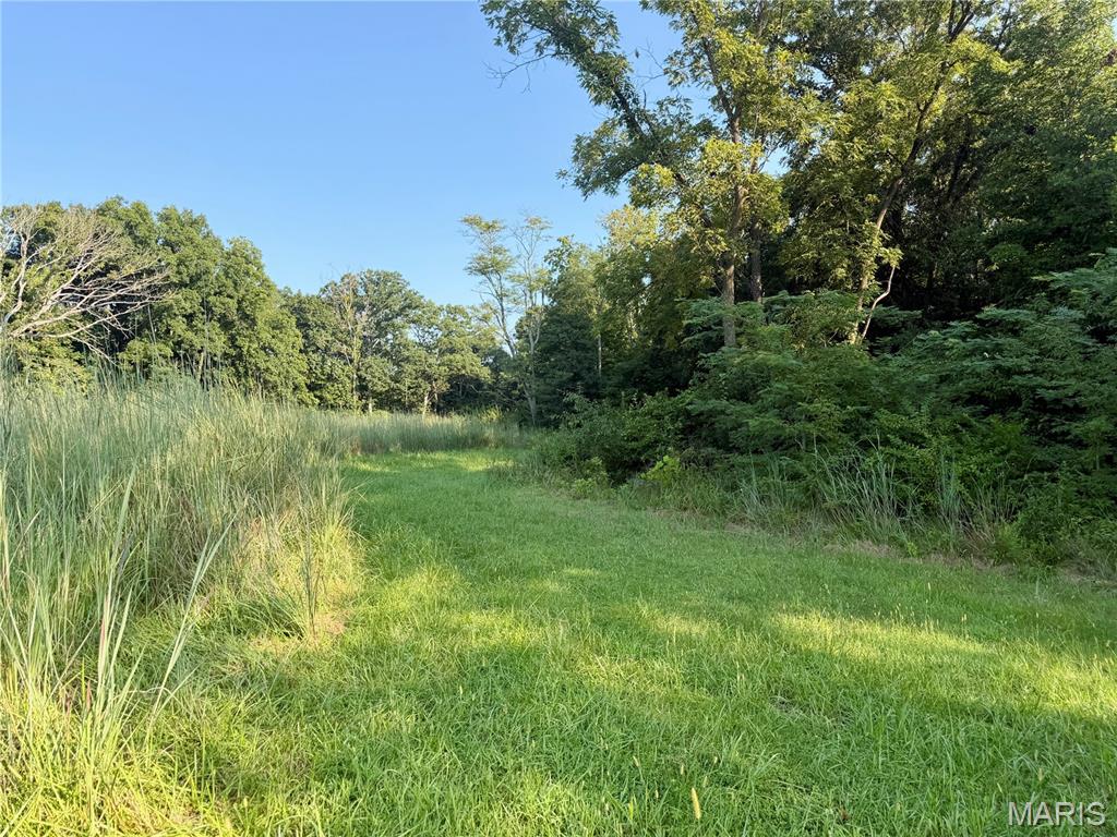 0 County Road Strasburg, IL 62465 - Photo 39 of 97 Gallery Image 39