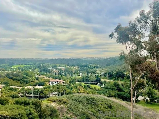 5225 Caminito Providencia Rancho Santa Fe, CA 92067 - Photo 1 of 14 a view of a city and mountains