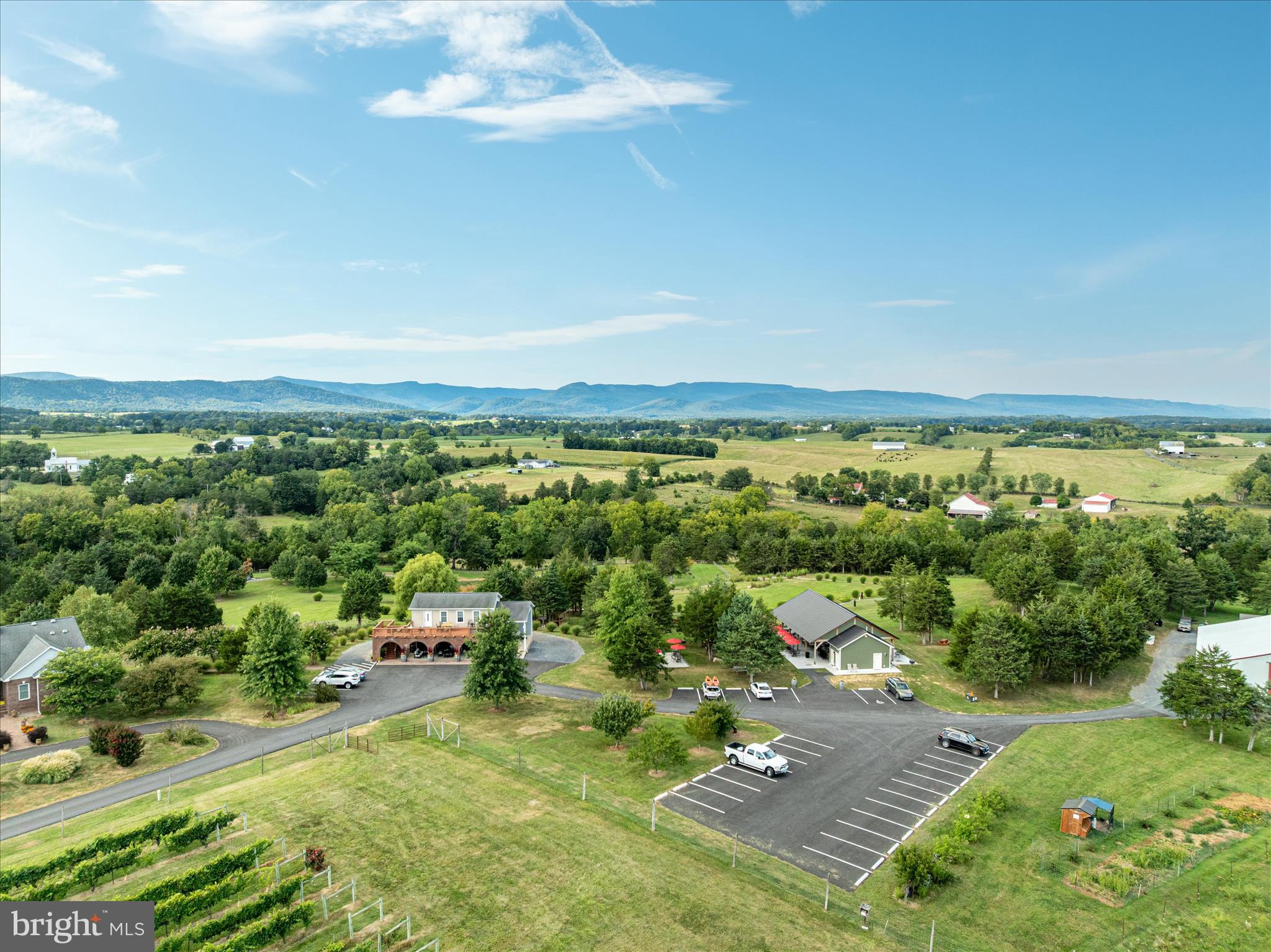 1915 Polk Road Edinburg, VA 22824 - Photo 83 of 83 Local Vineyard
