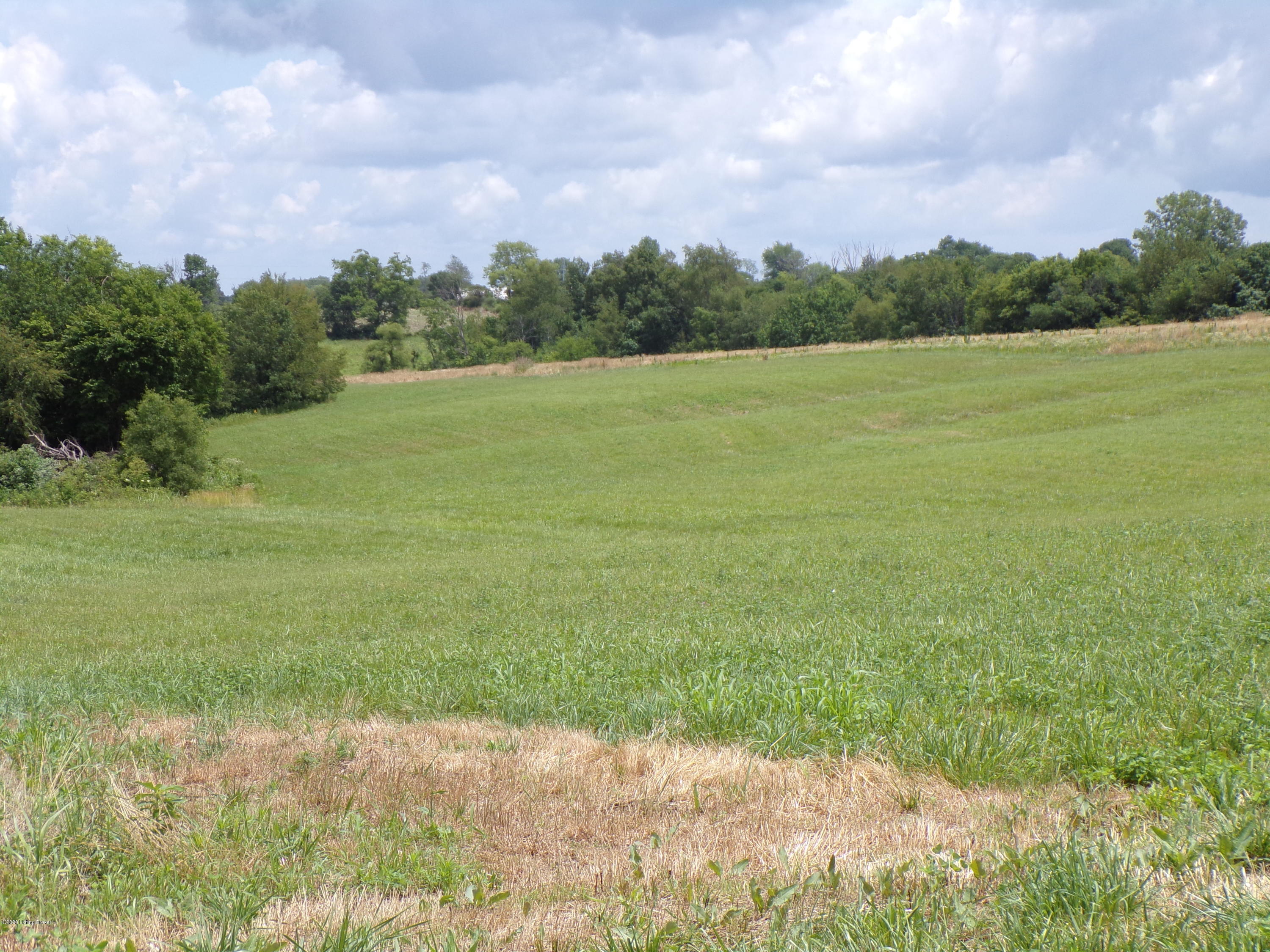 Lot 6 Sulpher Road Sulphur, KY 40070 - Photo 5 of 16 101_0306