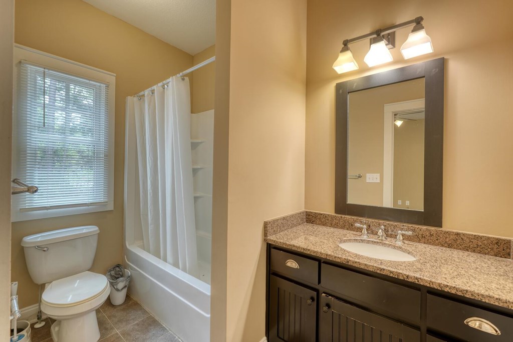 1401 Lakeside Road Hiawassee, GA 30546 - Photo 22 of 46 a bathroom with a granite countertop toilet a sink and a mirror