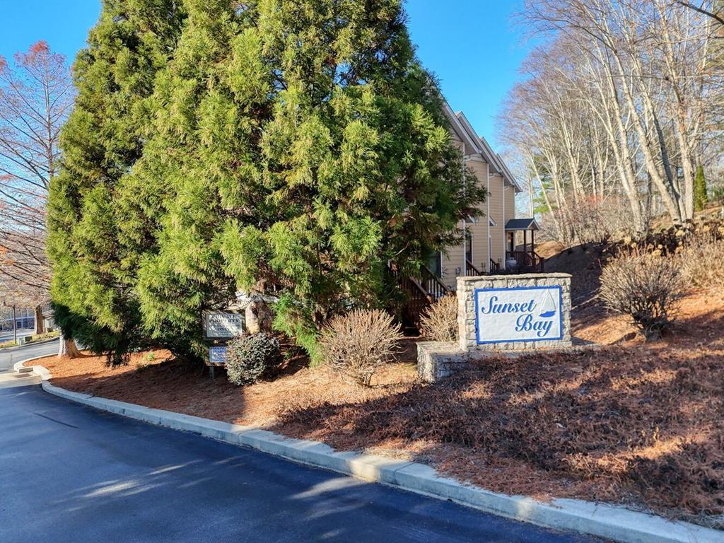 1401 Lakeside Road Hiawassee, GA 30546 - Photo 27 of 46 a view of a street with potted plants and large trees