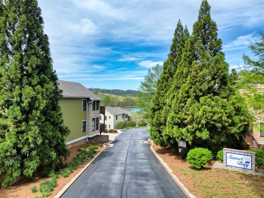 1401 Lakeside Road Hiawassee, GA 30546 - Photo 28 of 46 a view of a garden with pathway