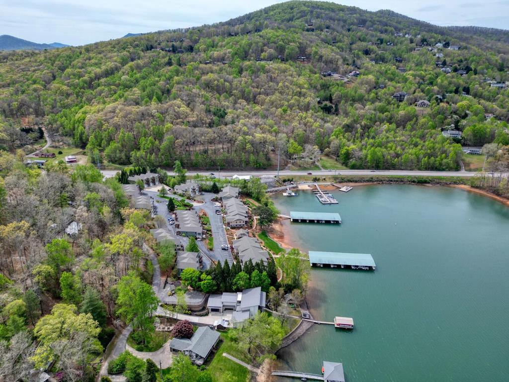 1401 Lakeside Road Hiawassee, GA 30546 - Photo 46 of 46 an aerial view of multiple house