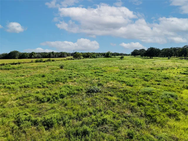 a view of a green field with lots of plants in the background