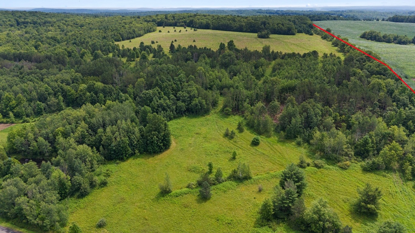 180 Jennings Road Lisle, NY 13835 - Photo 3 of 16 Gallery Image 3