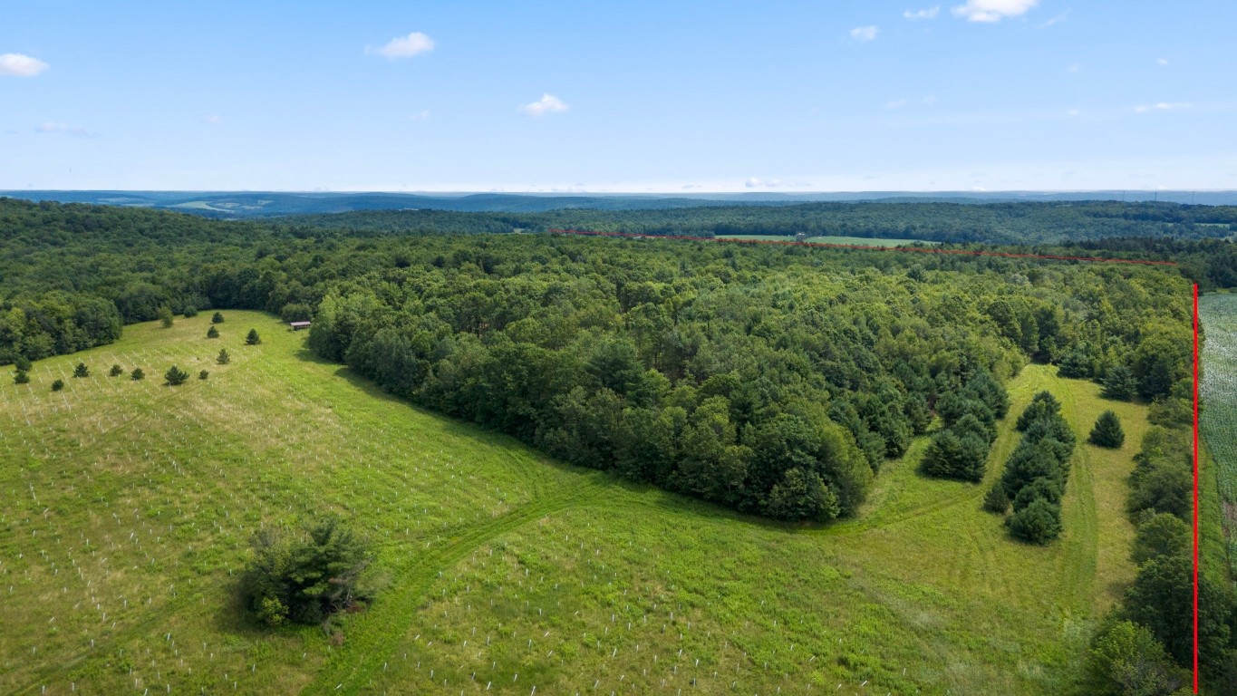 180 Jennings Road Lisle, NY 13835 - Photo 8 of 16 Gallery Image 8