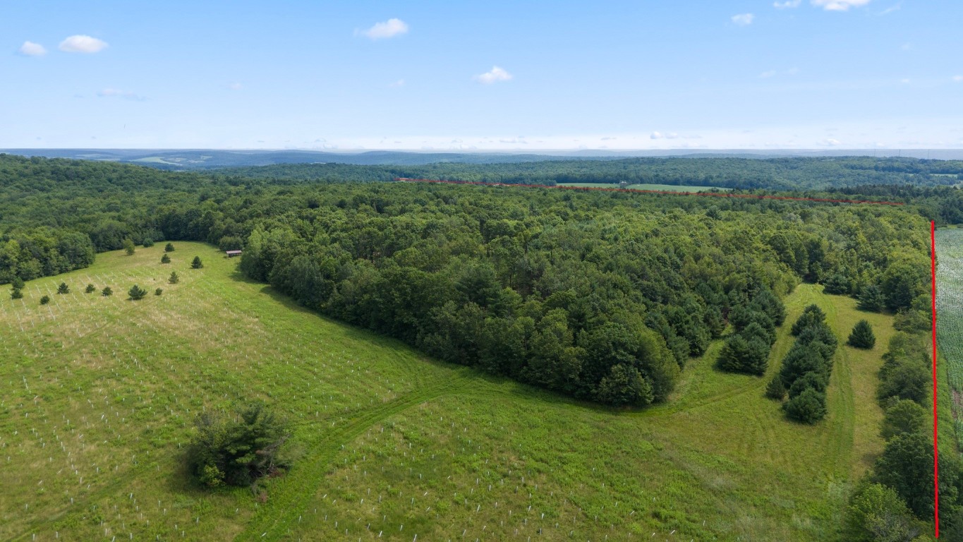 180 Jennings Road Lisle, NY 13835 - Photo 9 of 16 Gallery Image 9
