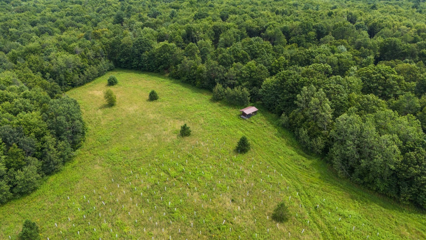 180 Jennings Road Lisle, NY 13835 - Photo 10 of 16 Gallery Image 10
