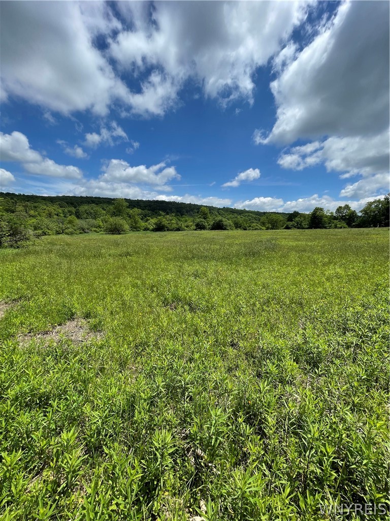 Lost Nations Road Freedom, NY 14065 - Photo 6 of 13