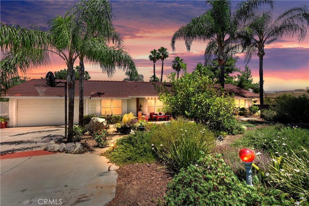 a view of a garden with palm trees